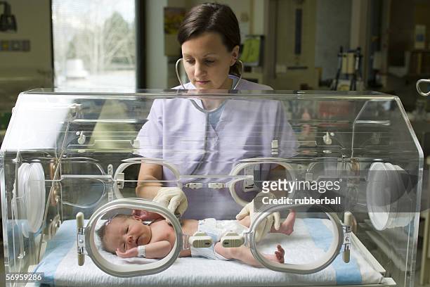 female nurse examining a newborn baby in an incubator - sala de maternidad fotografías e imágenes de stock