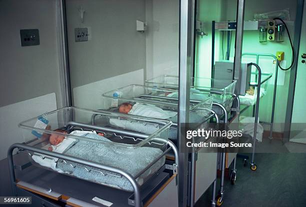 lloros de bebé en especial atención la unidad - sólo bebés fotografías e imágenes de stock