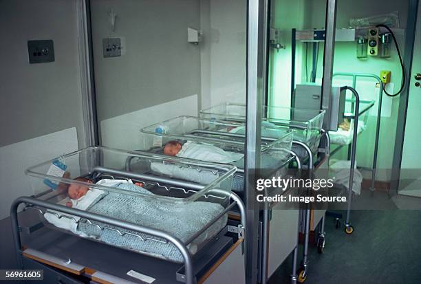 babies in special baby care unit - newborn hospital stock pictures, royalty-free photos & images