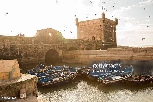 essaouira fishing harbour, morocco - essaouira photos et images de collection