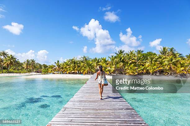 tourist walking on jetty to tropical island - tropical climate stock-fotos und bilder