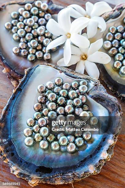 the famous black pearls of tahiti, polynesia - perla negra fotografías e imágenes de stock