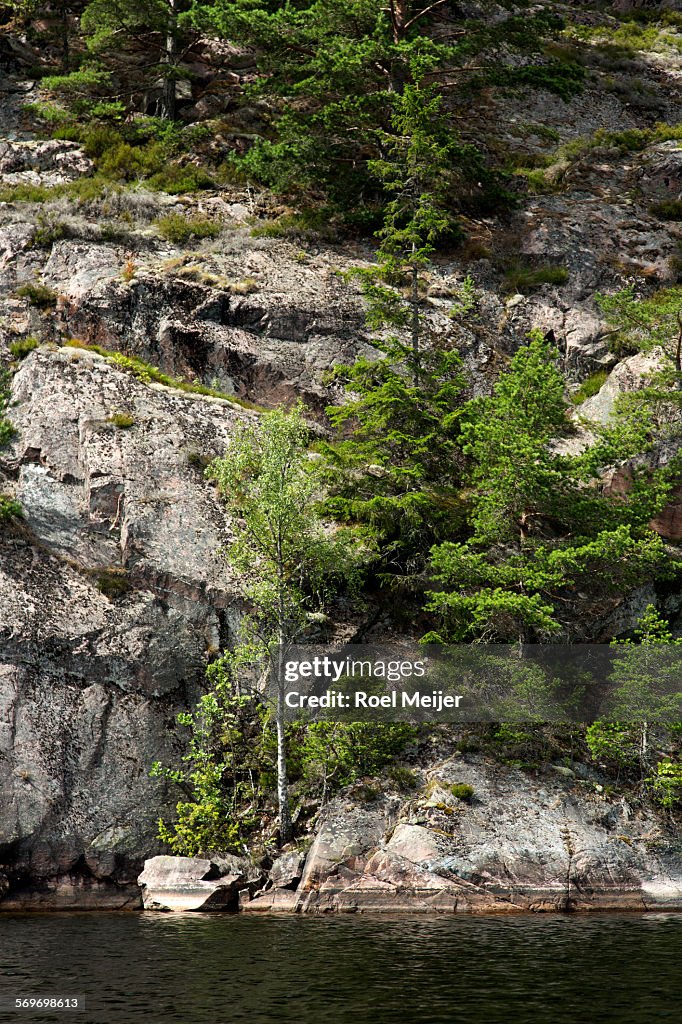 Rockface with some trees