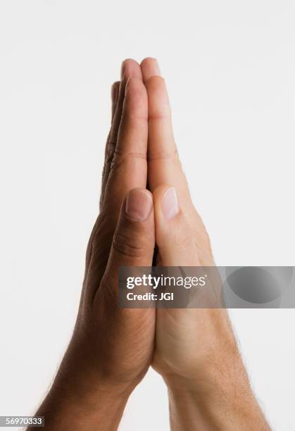 close up of two hands in praying position - loyalty foto e immagini stock