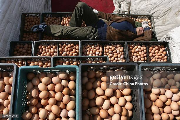 Worker sleeps on crates of eggs at a poultry and egg wholesale market, where the poultry and egg trade are partly suspended, March 1, 2006 in...