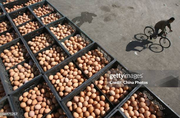 Cyclist passes a truck loaded with crates of eggs at a poultry and egg wholesale market, where poultry and egg trade are partly suspended, March 1,...