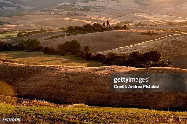 volterra countryside, tuscany, italy - ボルテラ ストックフォトと画像