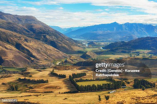 rural scene in new zealand - new zealand rural bildbanksfoton och bilder