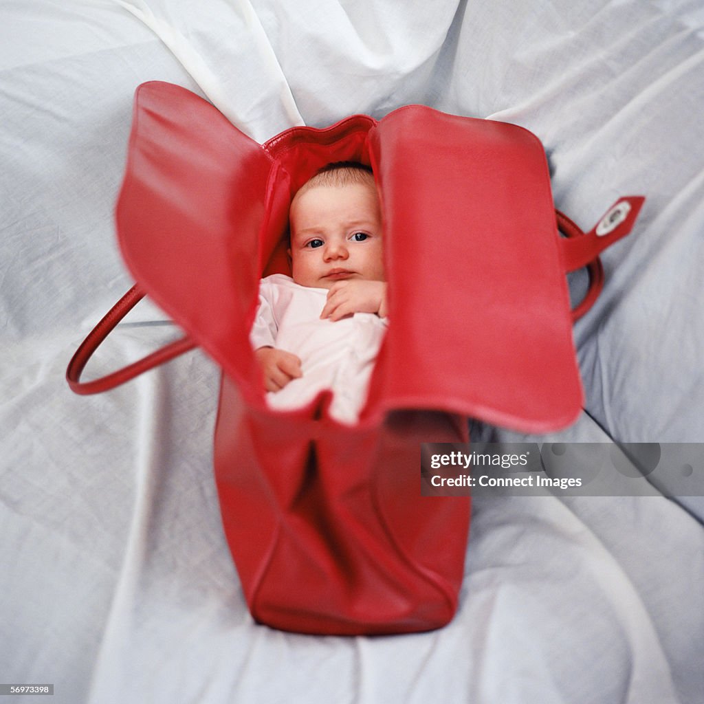 Baby in handbag