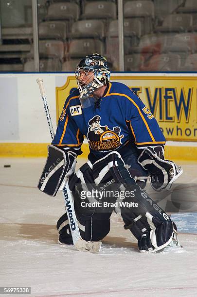 Reinhard Divis of the Peoria Rivermen tends goal against the Toronto Marlies at Ricoh Coliseum on February 3, 2006 in Toronto, Ontario, Canada. The...