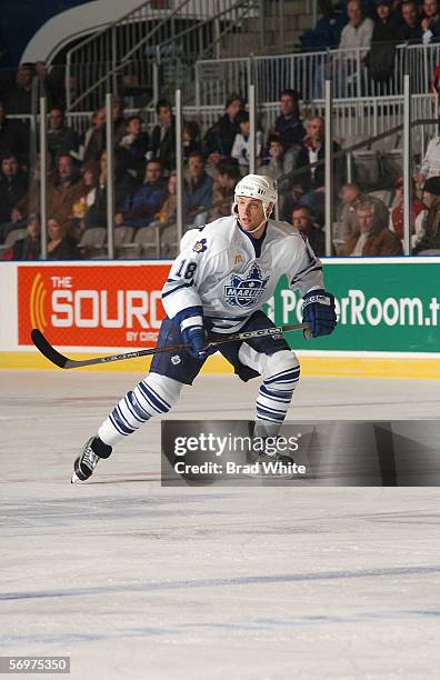 Brett Engelhardt of the Toronto Marlies skates against the Peoria Rivermen at Ricoh Coliseum on February 3, 2006 in Toronto, Ontario, Canada. The...