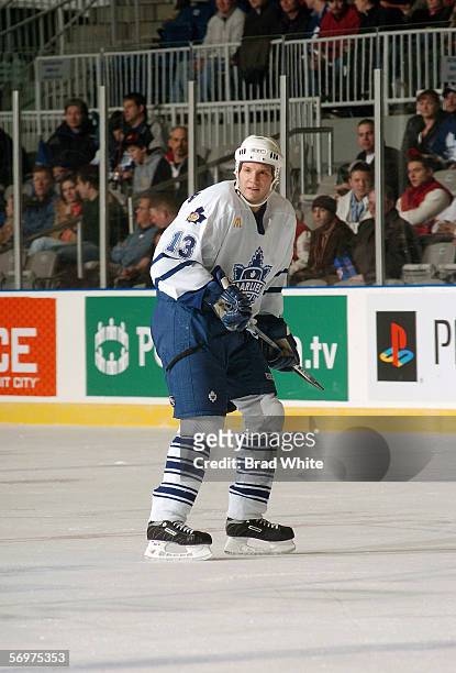 Bates Battaglia of the Toronto Marlies skates against the Peoria Rivermen at Ricoh Coliseum on February 3, 2006 in Toronto, Ontario, Canada. The...