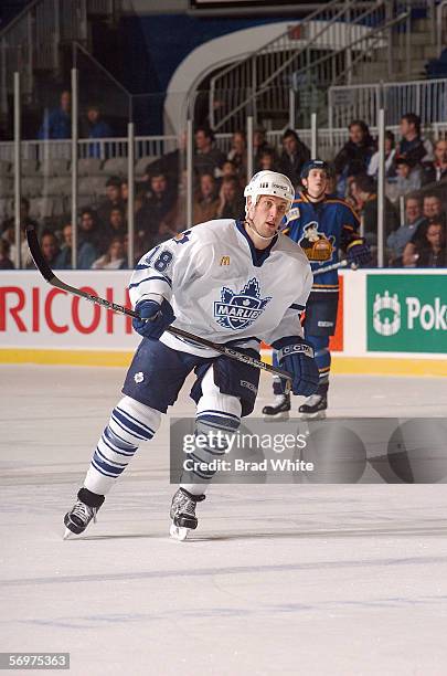 Brett Engelhardt of the Toronto Marlies skates against the Peoria Rivermen at Ricoh Coliseum on February 3, 2006 in Toronto, Ontario, Canada. The...