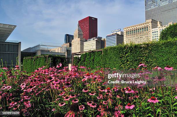 contrast to the skyline - michiganmeer stockfoto's en -beelden