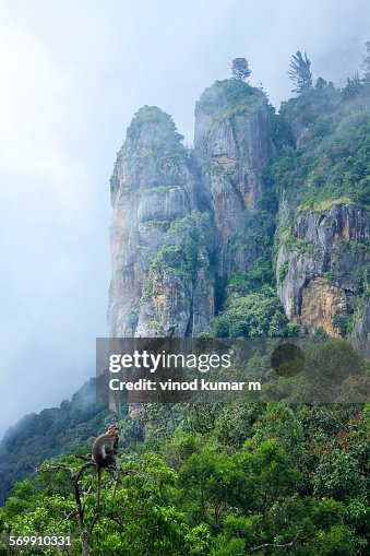 Pillar Rocks Kodaikanal High-Res Stock Photo - Getty Images