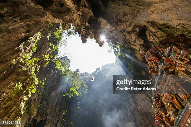 hindu shrine, temple cave - batu caves stock pictures, royalty-free photos & images