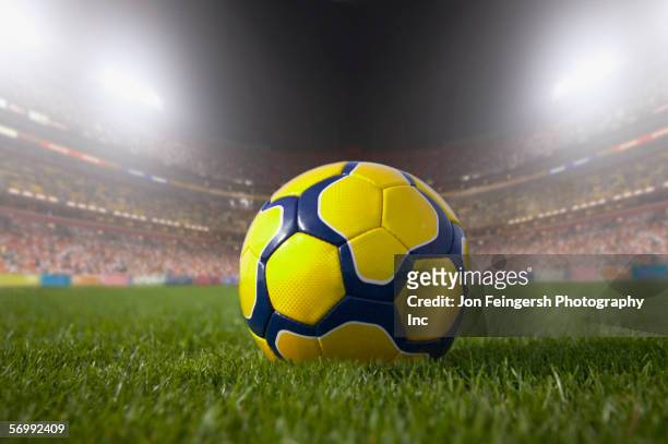 soccer ball resting on grass in large stadium - football grass stock pictures, royalty-free photos & images