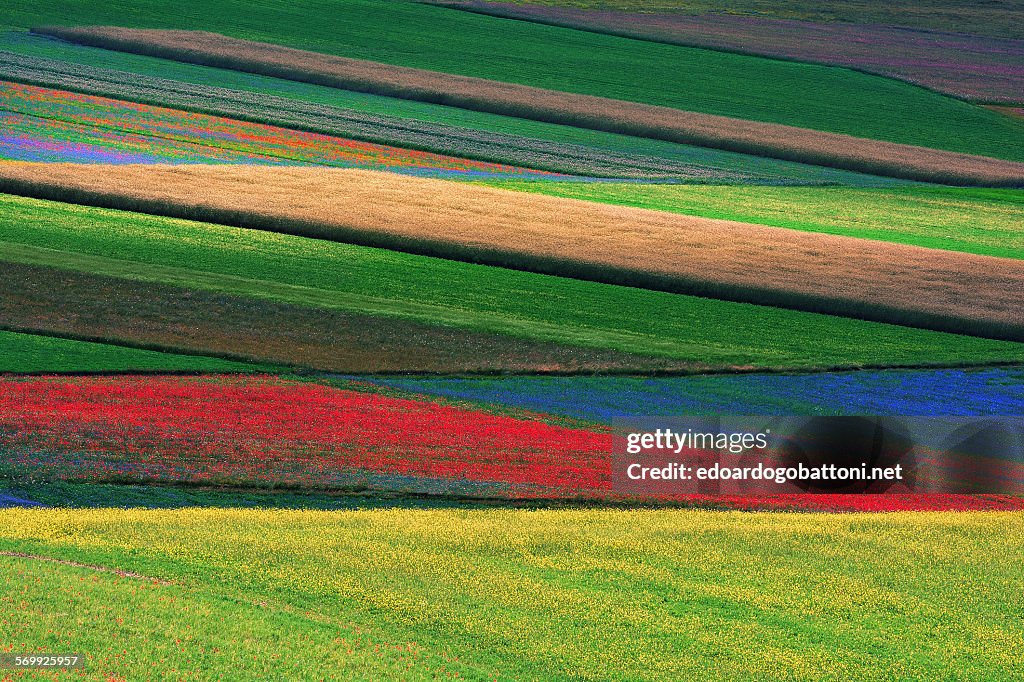 Abstract landscape