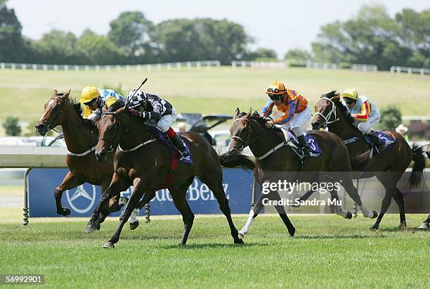 Ellerslie Races 146 Jason Waddell Stock Photos, High-Res Pictures, and Images - Getty ...