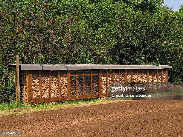 firewood at the edge of field - fellbach bildbanksfoton och bilder