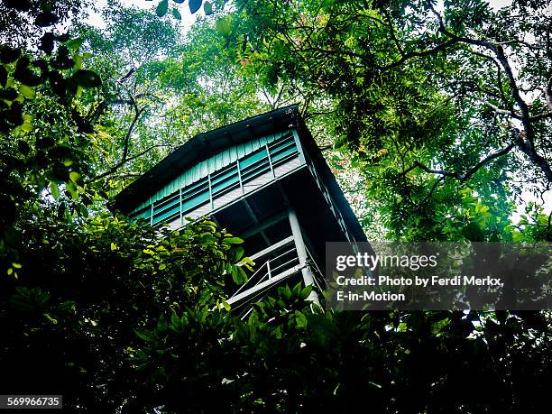 the lookout tower - gunung mulu national park stock pictures, royalty-free photos & images