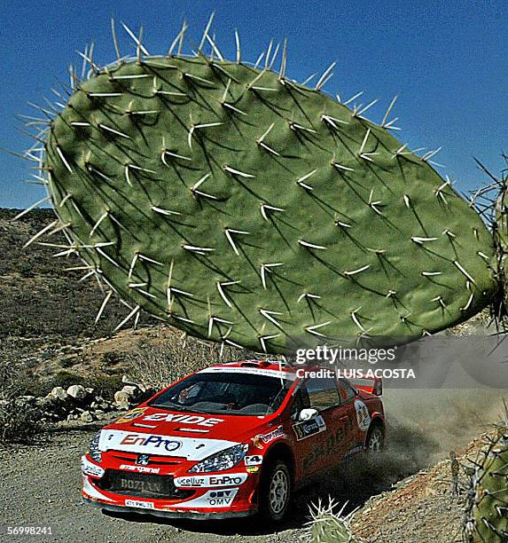 Henning Rally Driver 217 Leon Henning Stock Photos, High-Res Pictures, and Images - Getty Images