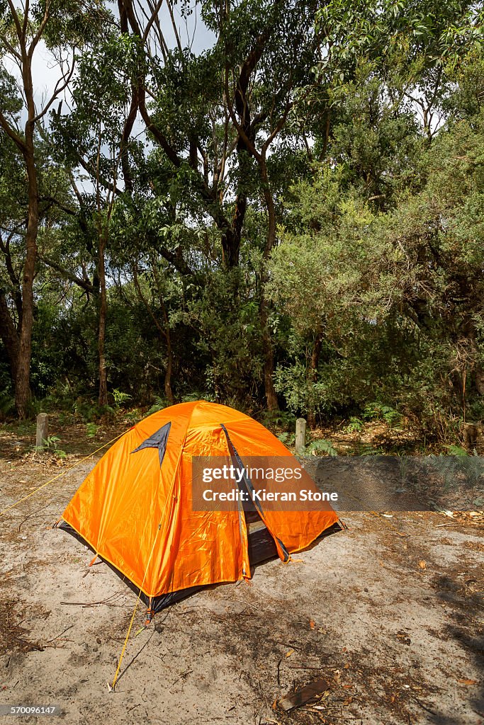 Camping in the wilderness