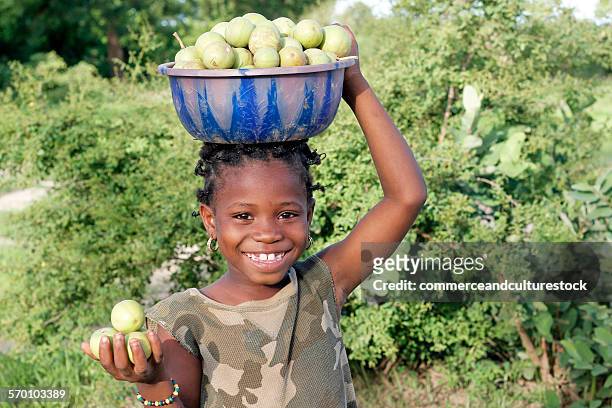 a little girl carrying a bucket of guavas - commerceandculturestock stock pictures, royalty-free photos & images