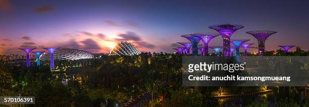 garden by the bay - singapore stockfoto's en -beelden