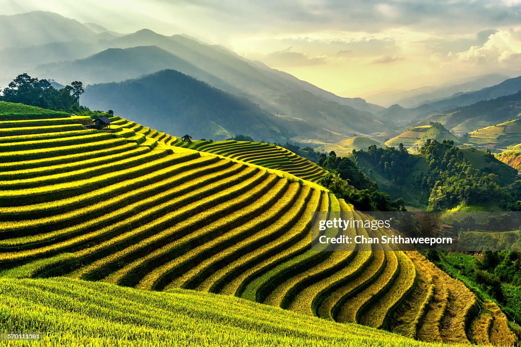 Rice terraces at Mu Cang Chai , Vietnam