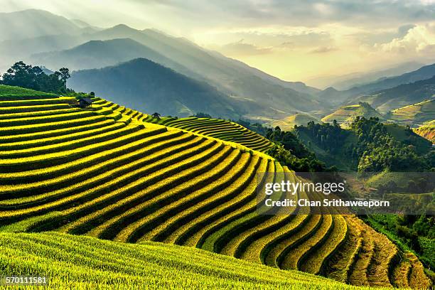 rice terraces at mu cang chai , vietnam - sa pa fotografías e imágenes de stock