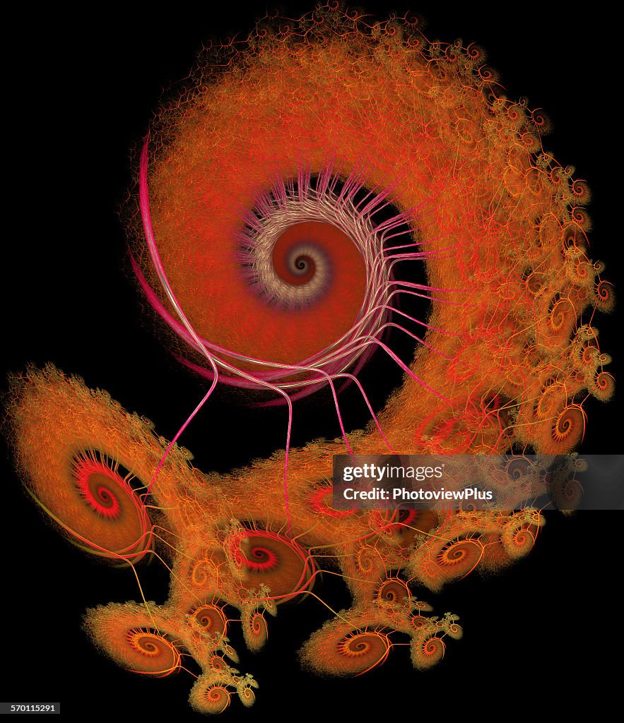 Fractal Bug