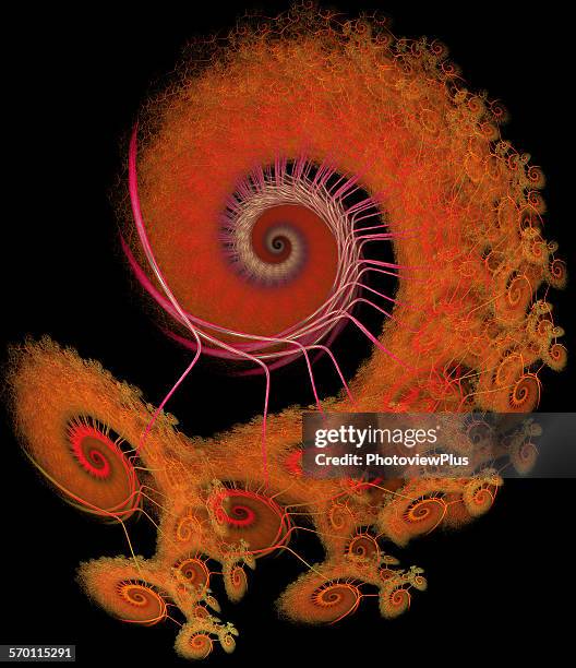 fractal bug - stick insect stock illustrations