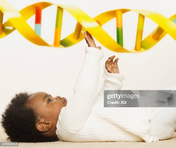 Puppet Dna Strand 431 Baby Dna Stock Photos, High-Res Pictures, and Images - Getty Images