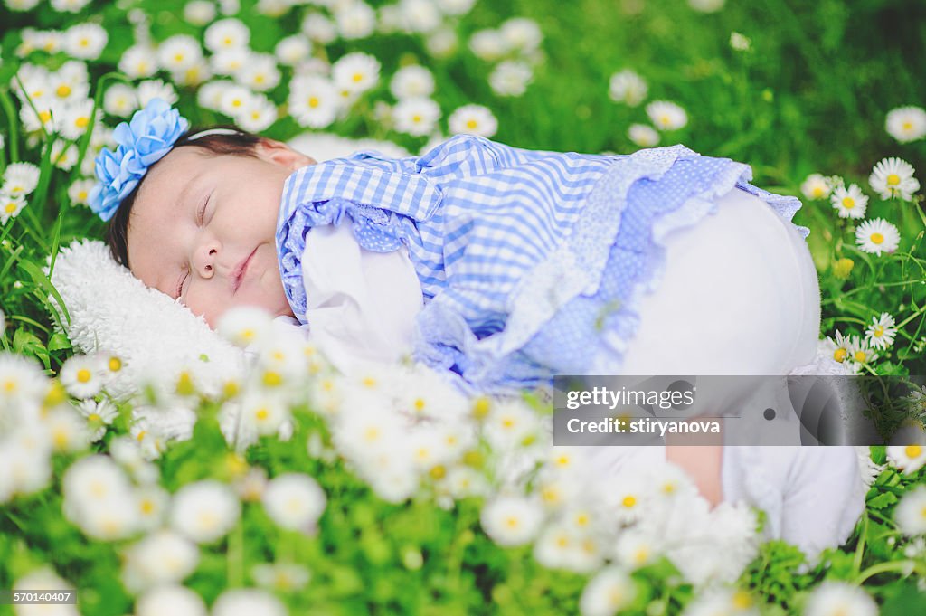 Baby sleeping in a field of daisies