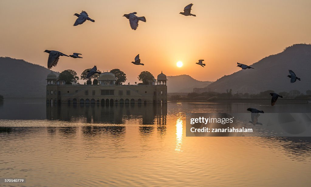 Birds flying over Jal Mahal Palace at sunrise, Jaipur, Rajasthan, India