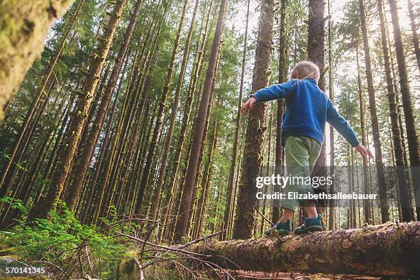low angle view of a boy walking across a tree trunk - tree trunk stockfoto's en -beelden
