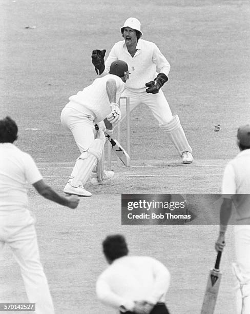 South African wicket keeper Ray Jennings appeals to the umpire as English batsman Geoff Boycott is caught by Adrian Kuiper at short leg off Alan...