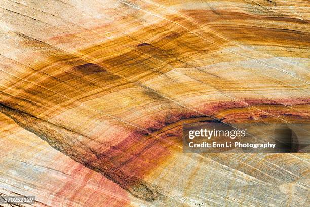 curved lines on sandstone rock - estrato de roca fotografías e imágenes de stock