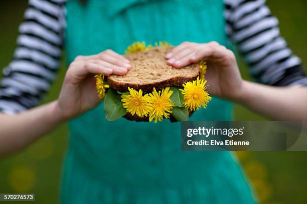 close-up of child holding a dandelion sandwich - abundance stock pictures, royalty-free photos & images