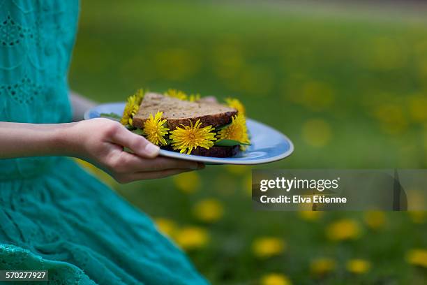 girl's hands holding dandelion sandwich on a plate - dandelion greens stock pictures, royalty-free photos & images