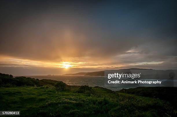 sunset, co.cork, ireland - cork stockfoto's en -beelden