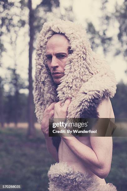 viking - hairy human skin stock pictures, royalty-free photos & images