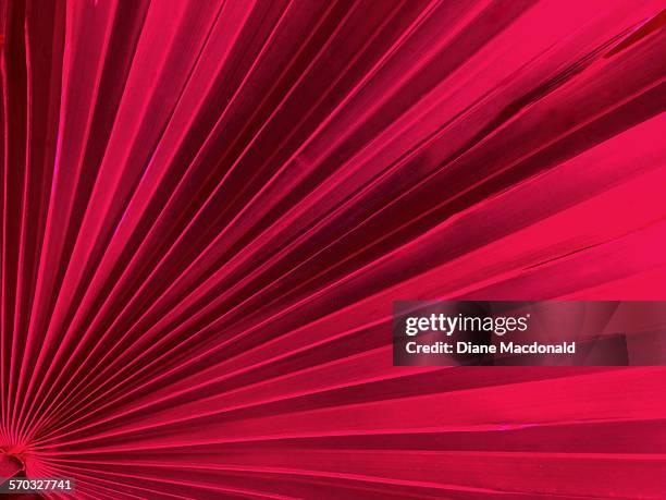 Fan Shaped 284 Fan Shaped Leaves Stock Photos, High-Res Pictures, and Images ...