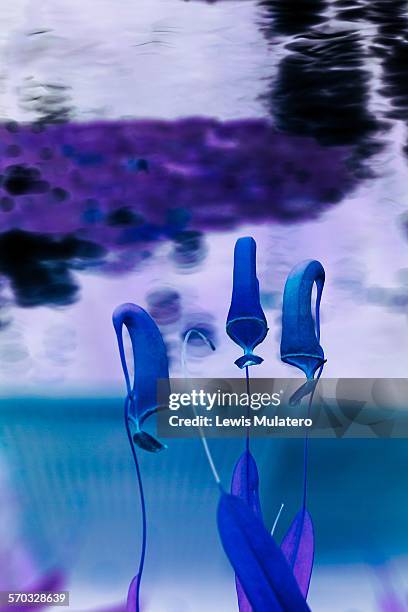 14 Mutant (Fictional) Stock Photos, High-Res Pictures, and Images ...