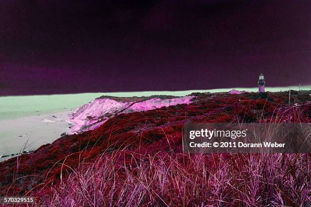 mutant nature - gay head cliff stock pictures, royalty-free photos & images