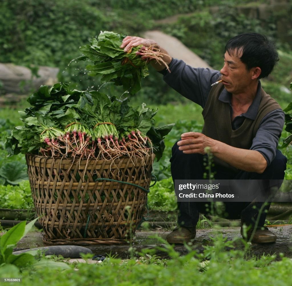 China Aims To Lift Living Standard In Rural Areas