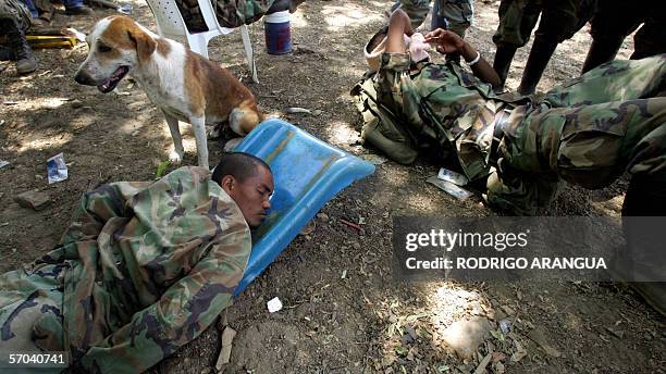 Fighters of the " North Block" of the Colombian United Self-Defense right-wing paramilitary sleep on the ground 09 March, 2006 in La Mesa, department...