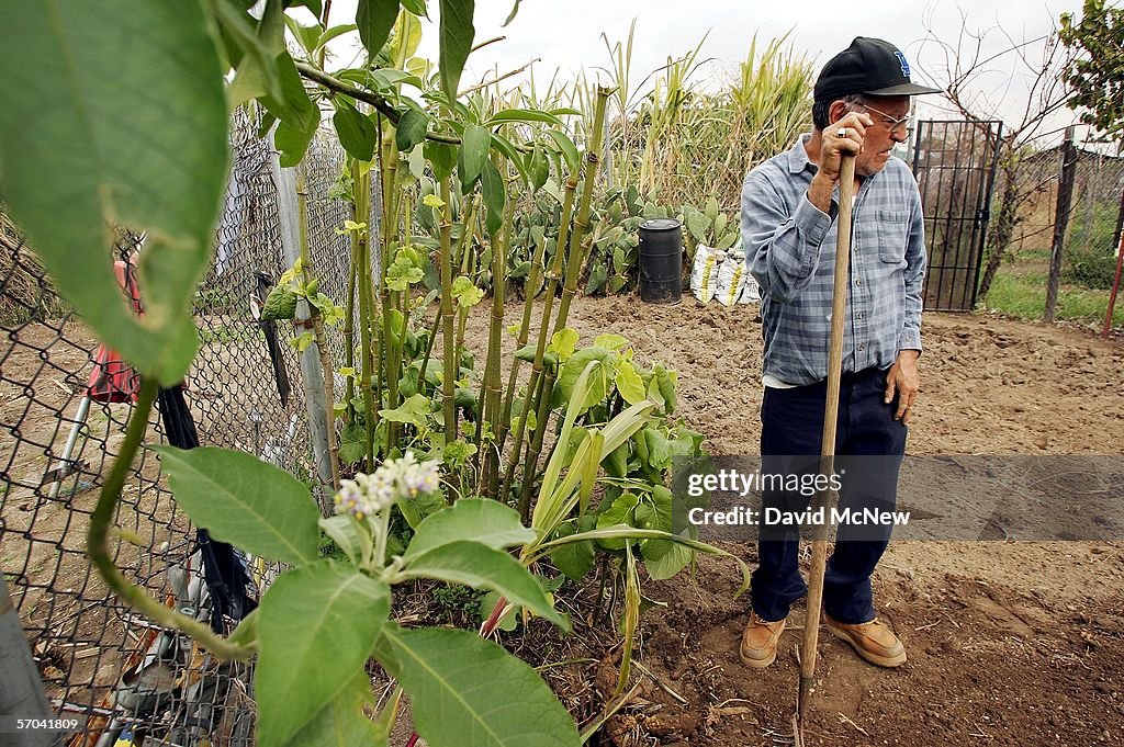 The Nation's Largest Community Garden To Be Sold By Developer