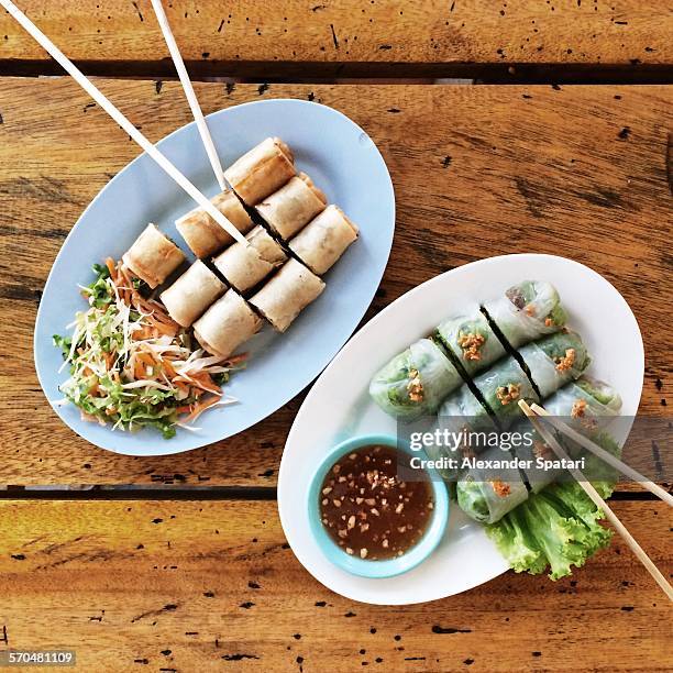 thai spring rolls on the plates with chopsticks - thailändische küche stock-fotos und bilder